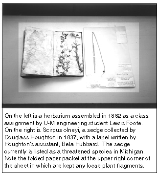 Historical Herbarium