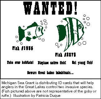 Fish ID cards