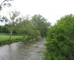 Phosphorous pollution levels in the Huron River declined after Ann Arbor in 2006 banned fertilizers containing phosphorous.