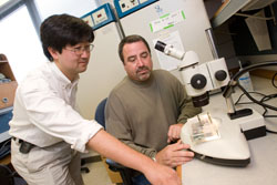 Researchers Shu Takayama and Gary Smith observe their new device that gently rocks embryos during in-vitro fertilization, leading to better pregnancy rates in mice.