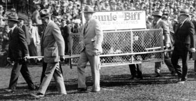 It's not quite true that Michigan never had a mascot. Fielding Yost himself introduced Biff and Bennie in 1927. But the creatures were so feral they lasted only a year before being shipped off to zoos. (Photo courtesy U-M Bentley Historical Library.)