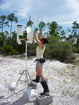 Laura Sherman collects precipitation samples. (Photo: James Barres.)