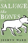 Salvage the Bones Cover