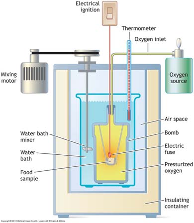 Graphic of a calorimeter.
