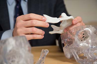 Edwards with models of facial bones.