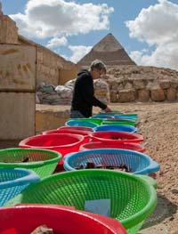 Redding on site at Giza.