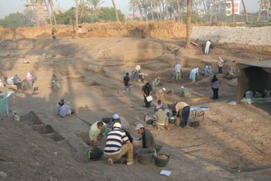 Fieldworkers on site in Giza.