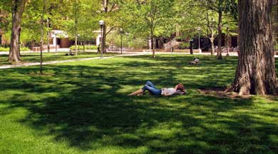 Trees on the Diag