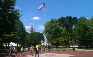 Diag, flag, and trees.
