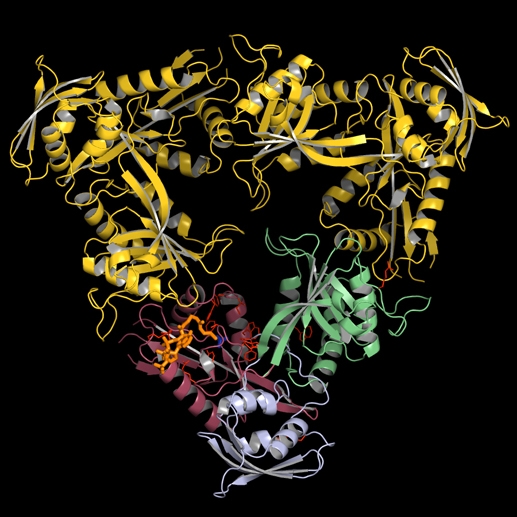 Tuberculosis protein Eis Courtesy of Garneau-Tsodikova lab
