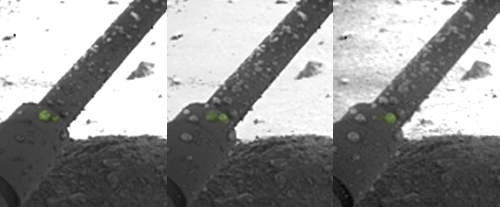 Globules of liquid saltwater were pictured on the leg of the Phoenix Mars Lander. NASA/JPL-Caltech/University of Arizona/Max Planck Institute
