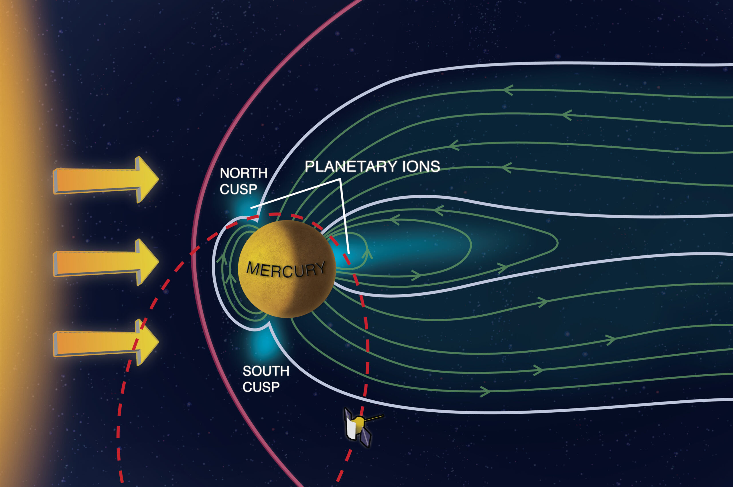 The MESSENGER spacecraft is currently in orbit around planet Mercury. The Fast Imaging Plasma Spectrometer (FIPS) on board is taking the first global measurements of the charged particles in Mercury's space environment. FIPS found that at the magnetic cusps near the planet's poles, the solar wind is able to bear down on Mercury enough to blast particles from its surface into its wispy atmosphere. Shannon Kohlitz, Media Academica, LLC 
