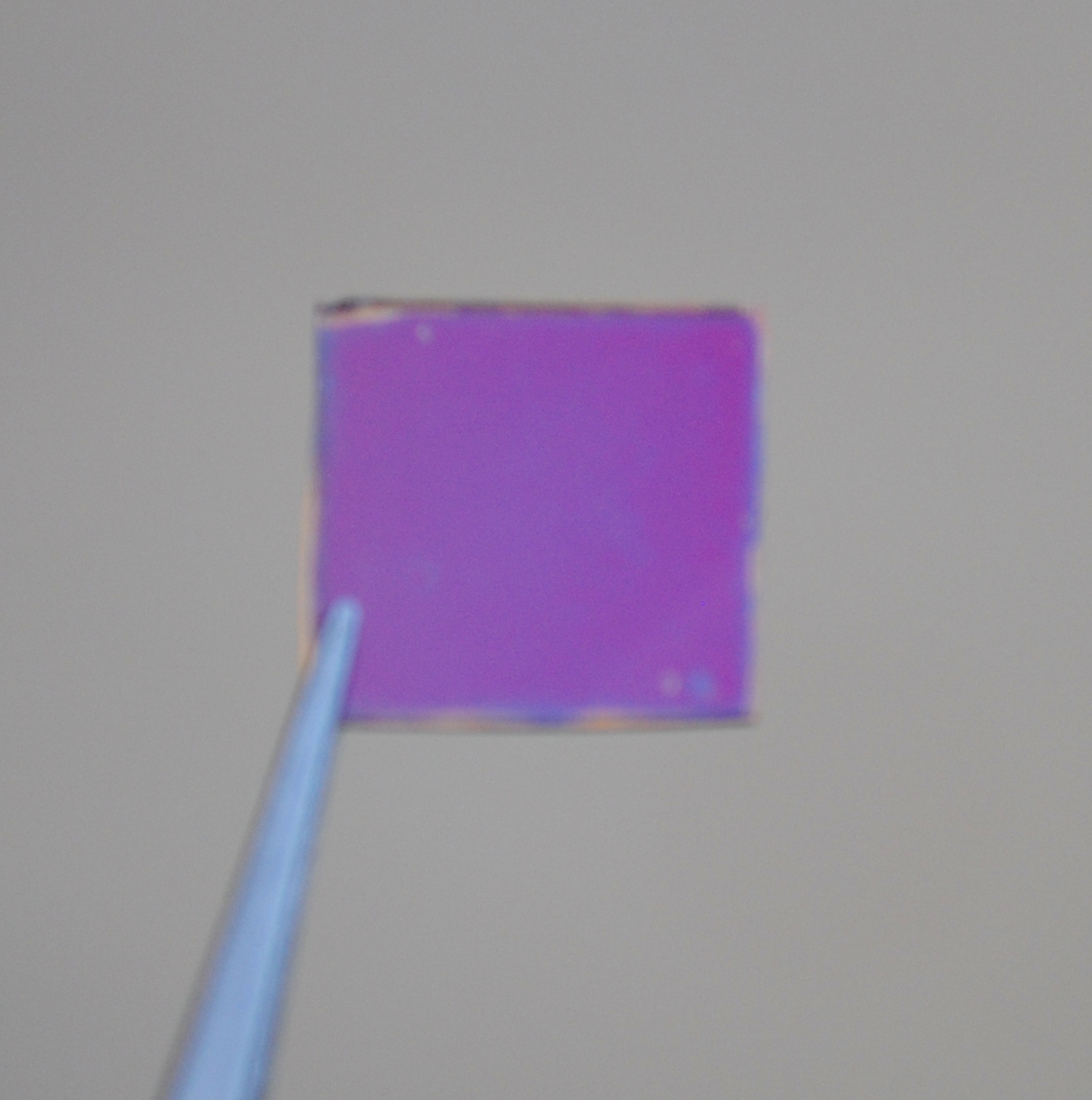 Magenta filter. Credit: Jay Guo
