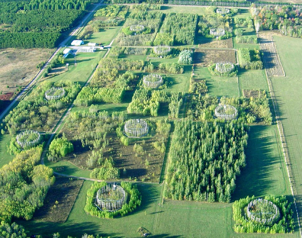 An aerial view of the 38-acre experimental forest in Wisconsin where U-M researchers and their colleagues continuously exposed birch, aspen and maple trees to elevated levels of carbon dioxide and ozone gas from 1997 through 2008. Credit: David Karnosky, Michigan Technological University
