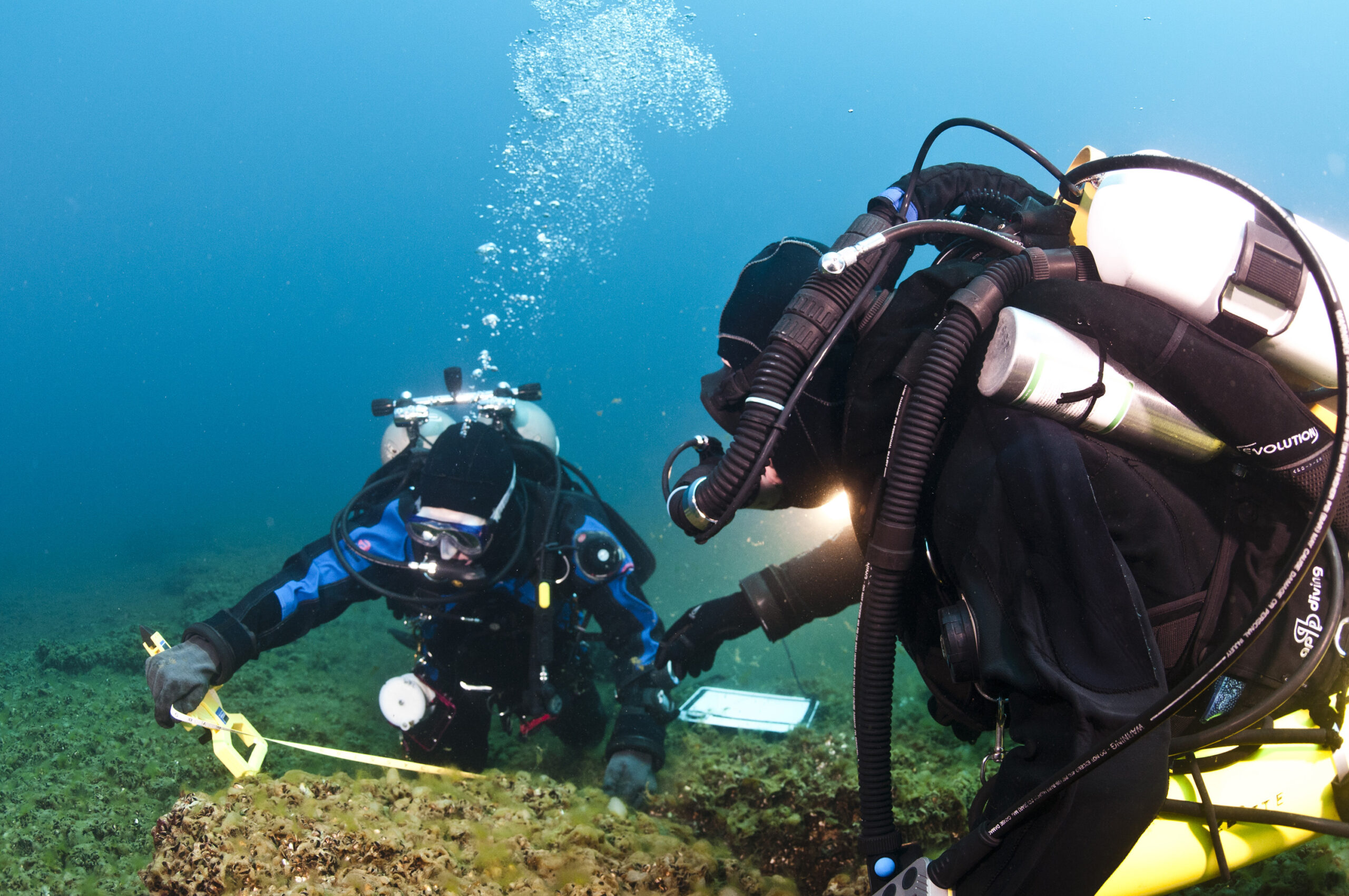 Divers tagging and measuring boulders. Photo courtesy of Tane Casserley, NOAA Thunder Bay National Marine Sanctuary