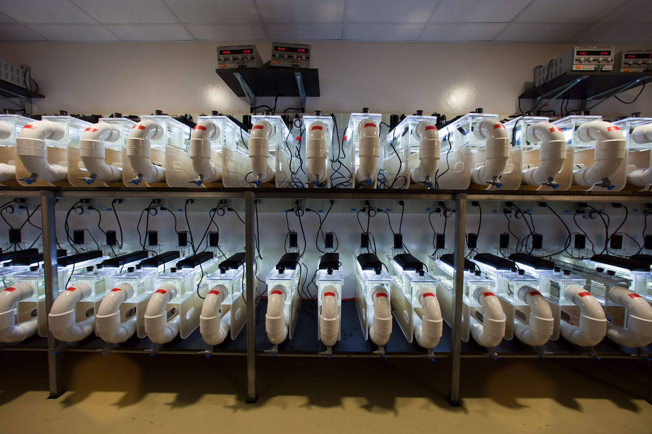 The new $1 million U-M "Flume Room," the largest facility of its kind in North America. Its 150 miniature streams are used to study how environmental change impacts freshwater habitats like rivers and streams. Photo: Austin Thomason, U-M Photo Services