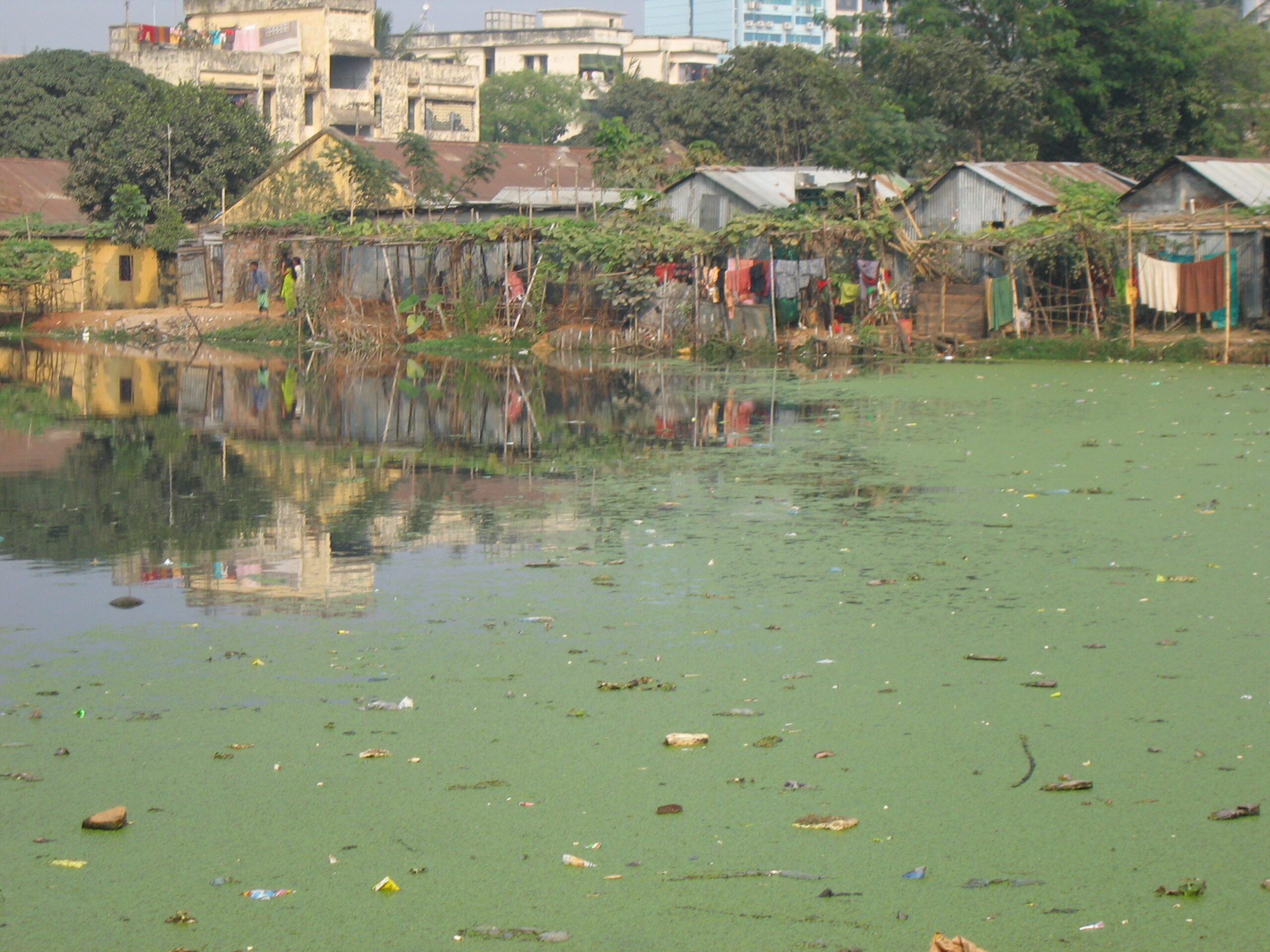 Life at the edge of a pond in one of the core districts of the city of  Dhaka. The photograph illustrates some of the variation in living  conditions and the problems with sanitary conditions that are greatly  exacerbated later in the year with the floods of the monsoon season. Photo by Mercedes Pascual