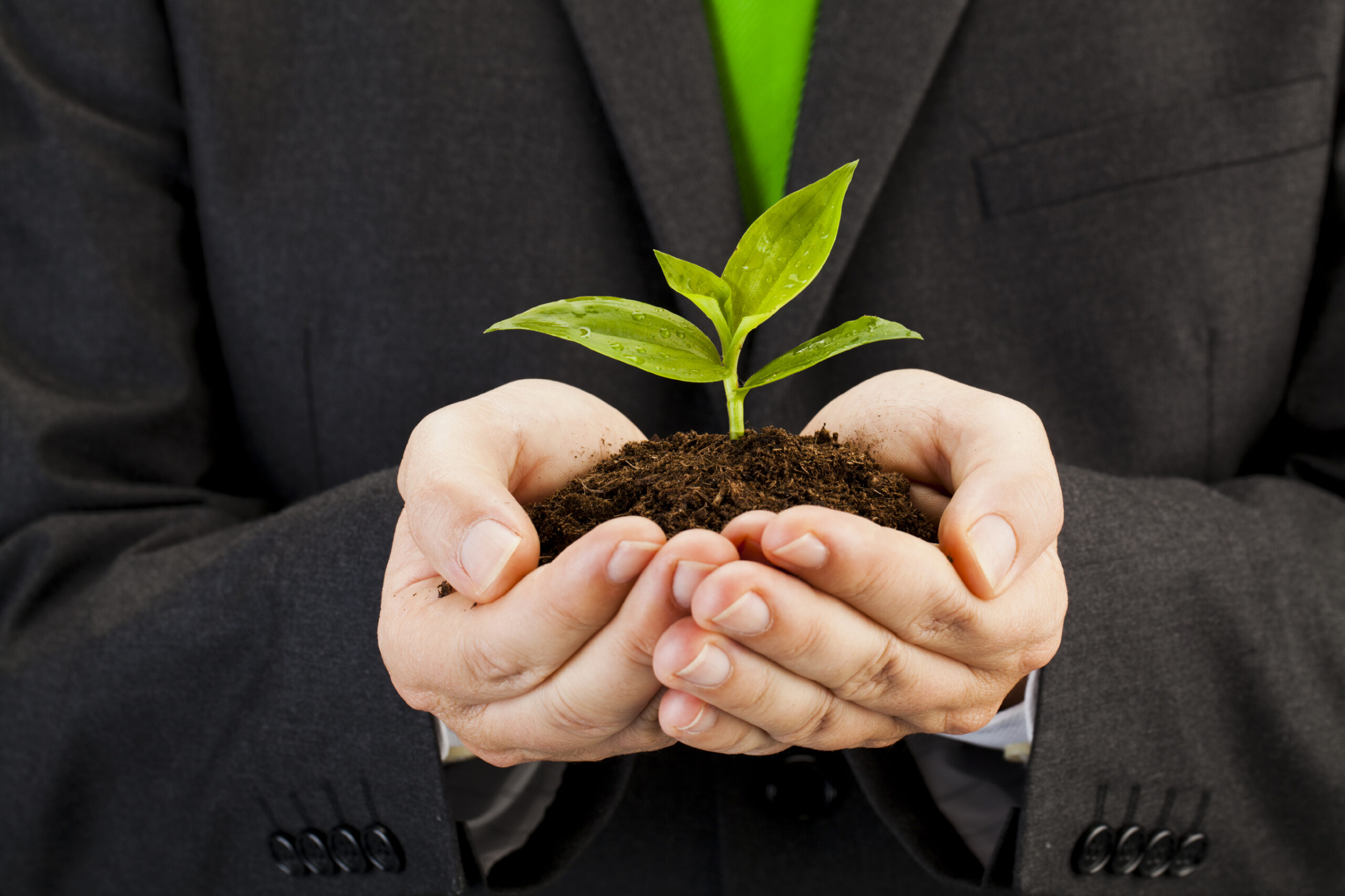 Image depicting hands holding a plant and soil