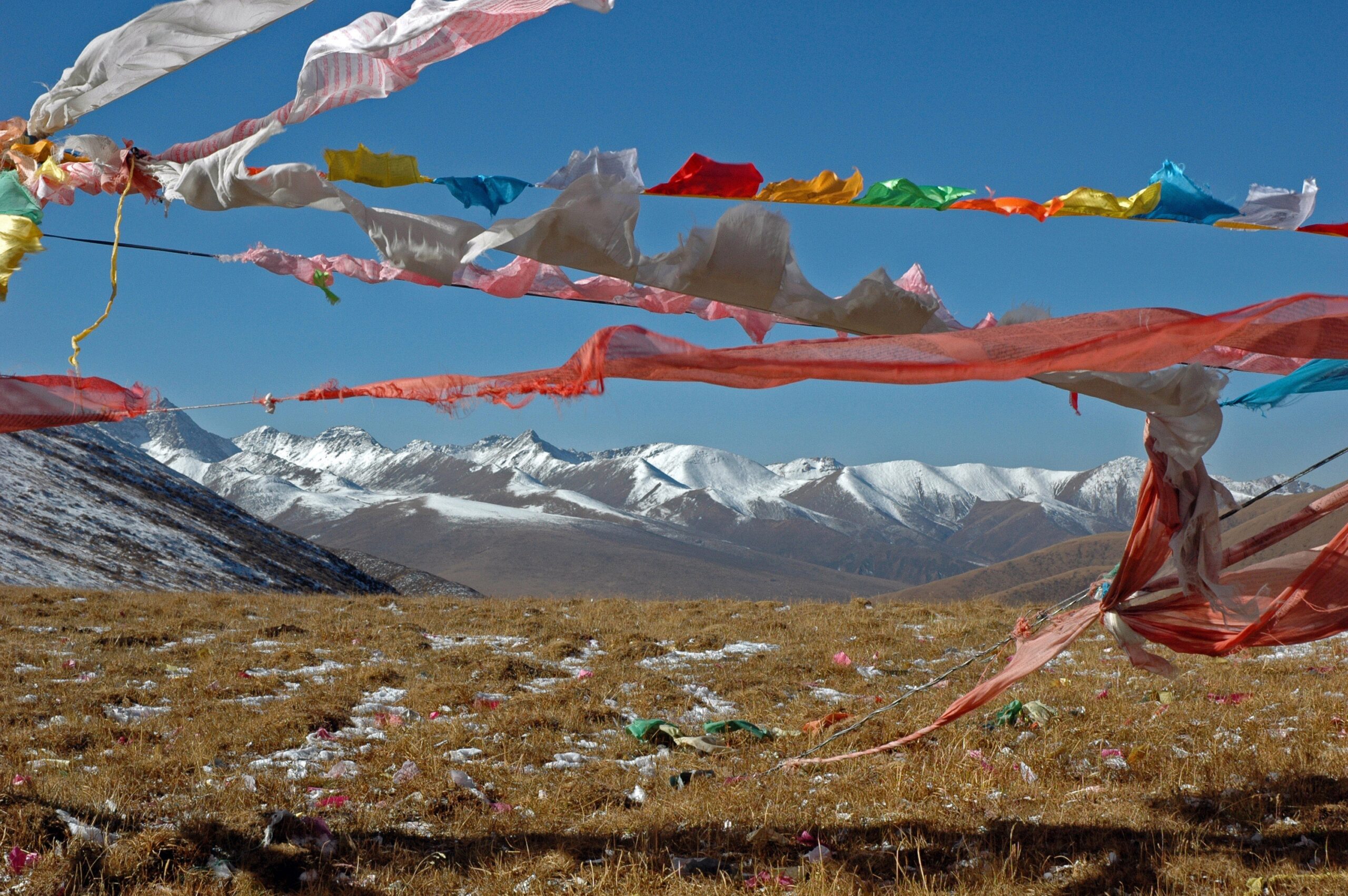 Prayer flags on a high-elevation pass on the Tibetan Plateau. The plateau and the Himalaya Mountains formed as a result of India's collision with Asia over the past 50 million years. Image credit: Marin Clark.
