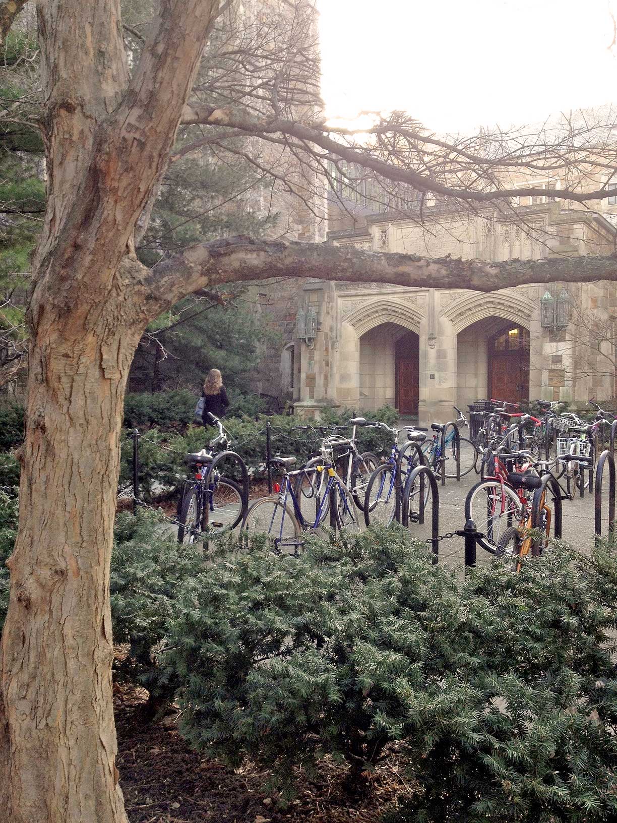 Bicycles wait to be ridden outside the Law School. Image credit: Lisa Pappas, Office of Campus Sustainability