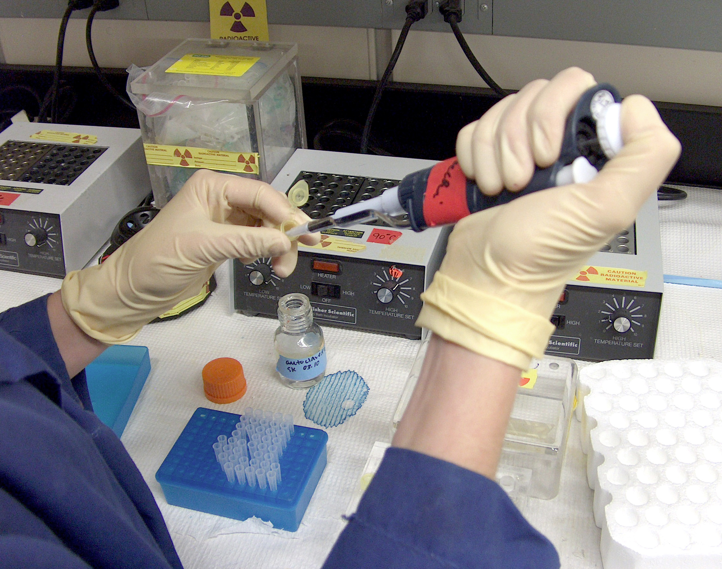 Image of gloved hands performing research in a lab. Image credit: sxc.hu user Daino_16 