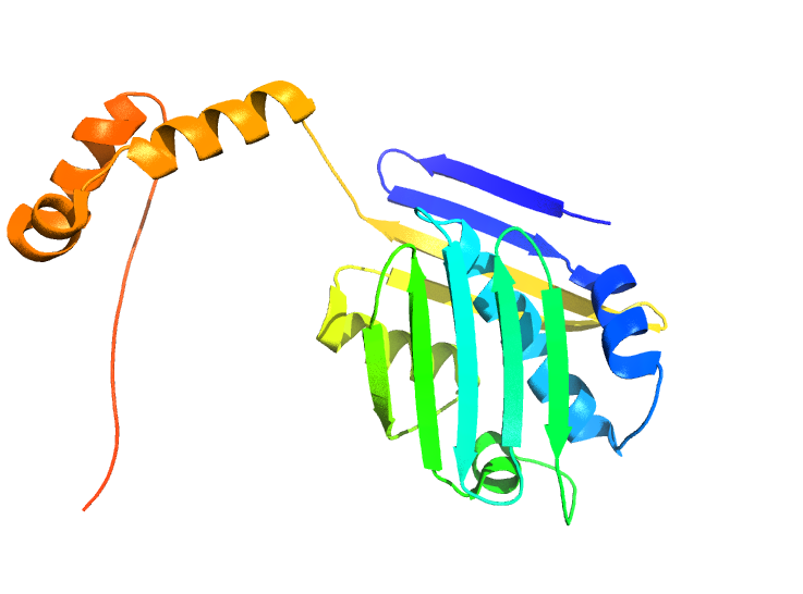 Illustration depicting the three-dimensional structure of the stress-specific protein Hsp33. Image credit: Ursula Jakob