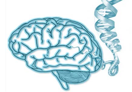 Illustration of a brain and DNA structures