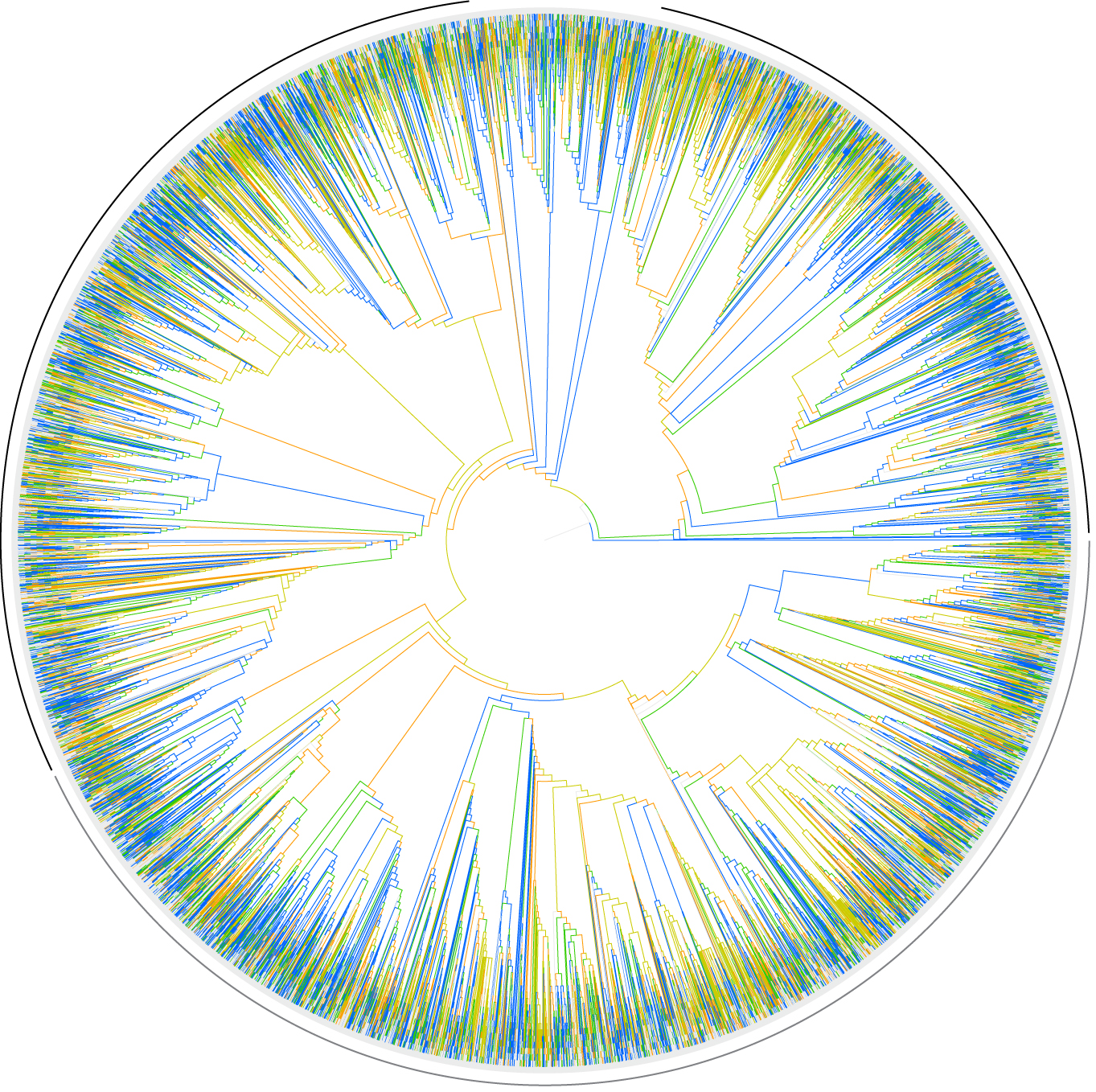 This evolutionary tree shows the relationships between more than 33,000 species of flowering plants. Trees like this will be pieced together to form an evolutionary tree of all named species of animals, plants and microorganisms as part of the Open Tree of Life project. Image credit: Stephen Smith