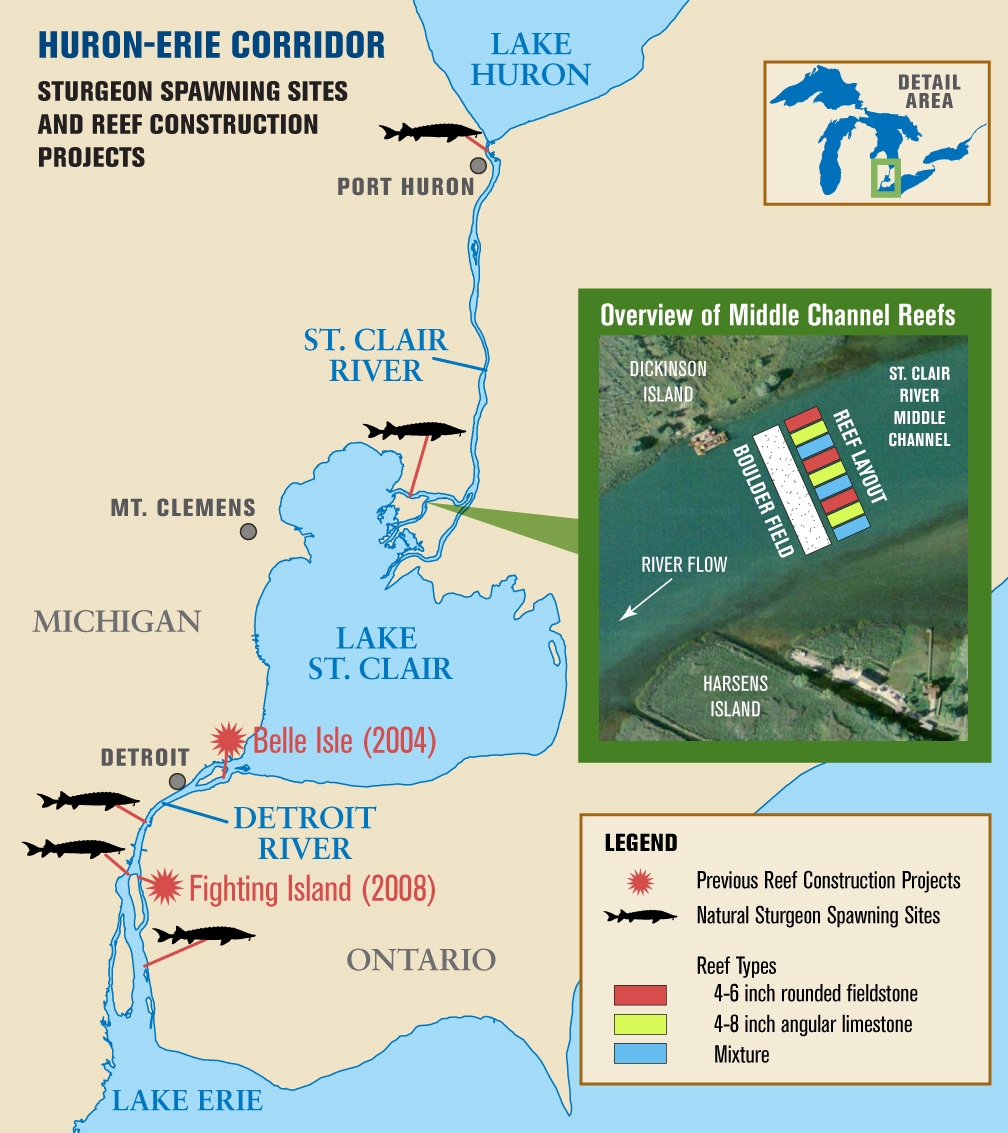 Map showing location of the St. Clair River reef project, along with similar reef projects built on the Detroit River in 2004 and 2008. Image courtesy of Michigan Sea Grant