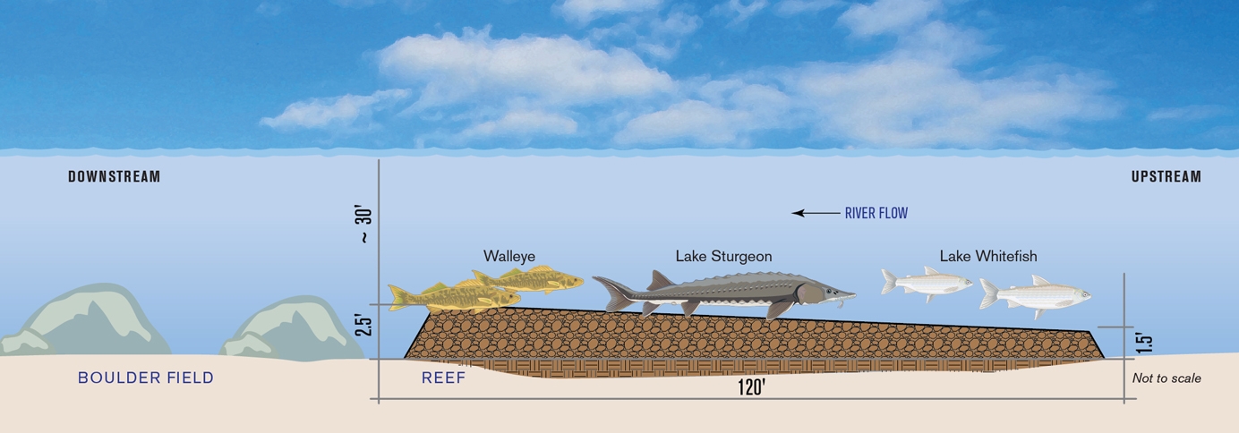 An illustration showing the dimensions of the rock reefs under construction on the St. Clair River. Image courtesy of Michigan Sea Grant