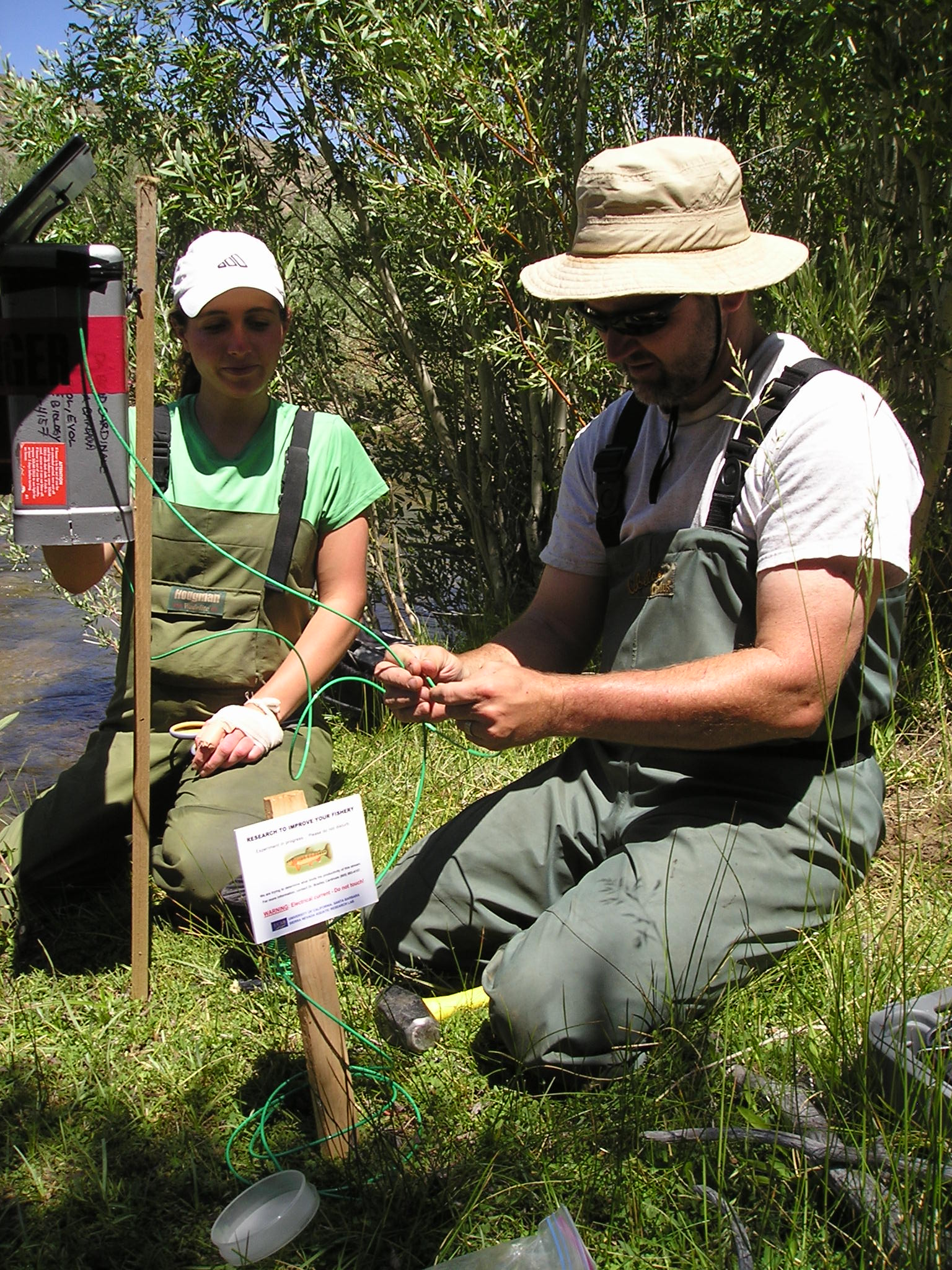 U-M ecologist Bradley Cardinale setting up an electrical fence to simulate extinction of fish in a stream. Image credit: Bradley Cardinale