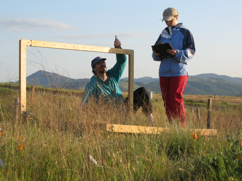 Western Washington University biology professor David Hooper and graduate student Leslie Gonzalez measure plant diversity and productivity in experimental grassland plots in California. Credit: Jeff Dukes