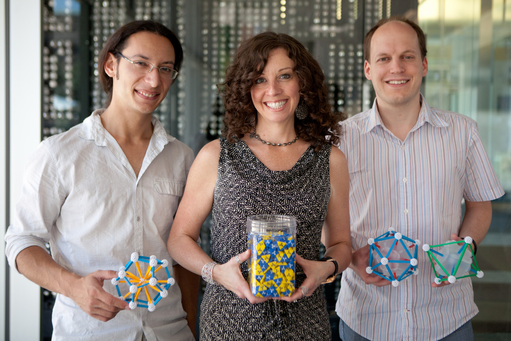 Computer simulations by University of Michigan researchers Pablo Damasceno, Sharon Glotzer, and Michael Engel have shown how entropy can nudge nanoparticles into organized structures. They can even predict what kinds of structures will form. Image credit: Laura Rudich