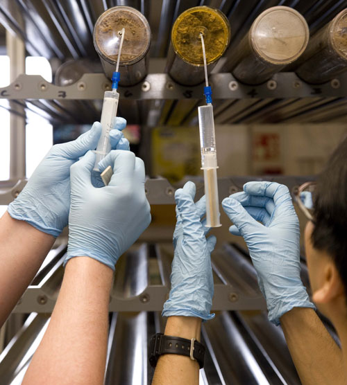  Rhizon interstitial water samples are taken from core sections for chemical analyses. Image credit: Integrated Ocean Drilling Program/United Stated Implementing Organization (IODP/USIO)