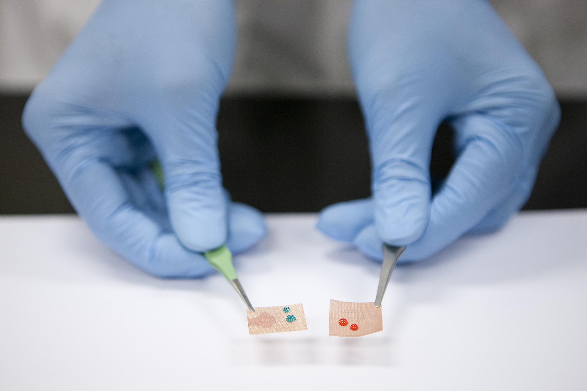Researchers have developed a special filter coating that essentially can strain oil out of water. It works by repelling oil, but attracting water, which are unconventional properties for a material to have. On an untreated piece of window screen, water (dyed blue) beads up, but oil (dyed pink) soaks through. On the treated surface, the pink oil beads up, but water would soak through. The coating could help advance oil spill clean-up and make it more efficient. Photo by Laura Rudich