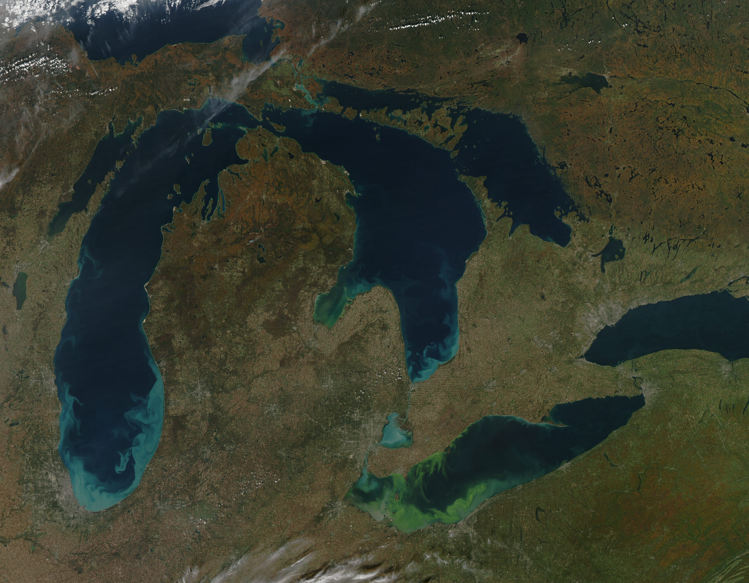 The green scum shown in this image is the worst algae bloom Lake Erie has experienced in decades. Such blooms were common in the lake’s shallow western basin in the 1950s and 60s. Phosphorus from farms, sewage, and industry fertilized the waters so that huge algae blooms developed year after year. The blooms subsided a bit starting in the 1970s, when regulations and improvements in agriculture and sewage treatment limited the amount of phosphorus that reached the lake. But in 2011, a giant bloom spread across the western basin once again. Landsat image created for NASA’s Earth Observatory by Jesse Allen and Robert Simmon, using data provided courtesy of the United States Geological Survey