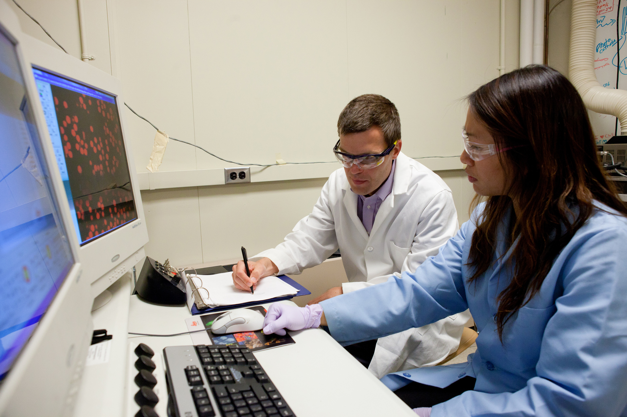 Professor Michael Solomon and doctoral student Lilian Hsiao, both in chemical engineering, discuss the architectural structures revealed by the 3D map of particles inside a gel. Image credit: Laura Rudich