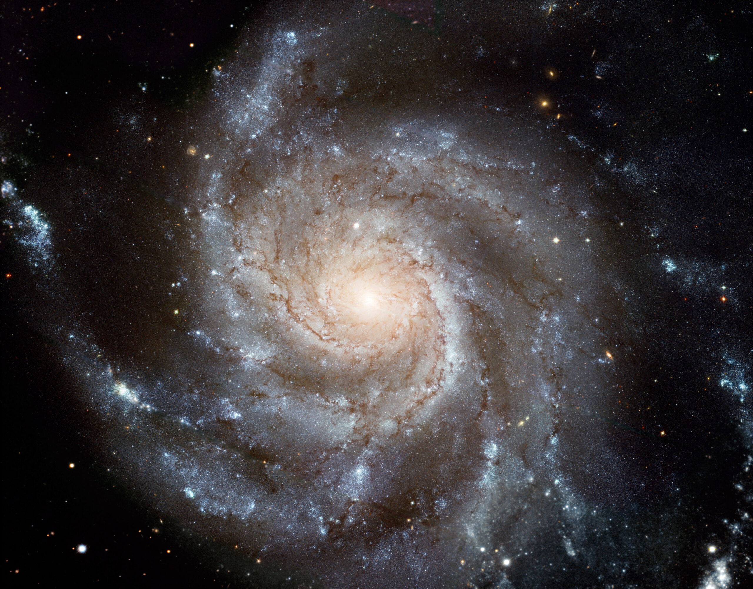 This giant spiral disk of stars, dust and gas is 170,000 light-years across, or nearly twice the diameter of our Milky Way galaxy. M101 is estimated to contain at least one trillion stars. Image credit: NASA, ESA, K. Kuntz (JHU), F. Bresolin (University of Hawaii), J. Trauger (Jet Propulsion Lab), J. Mould (NOAO), Y.-H. Chu (University of Illinois, Urbana), and STScI