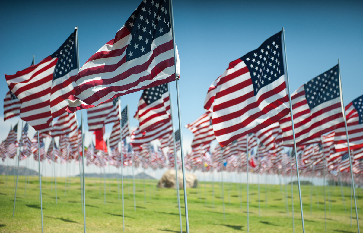Dozens of American flags flapping in the wind. Image credit: sxc.hu user szaszlajos