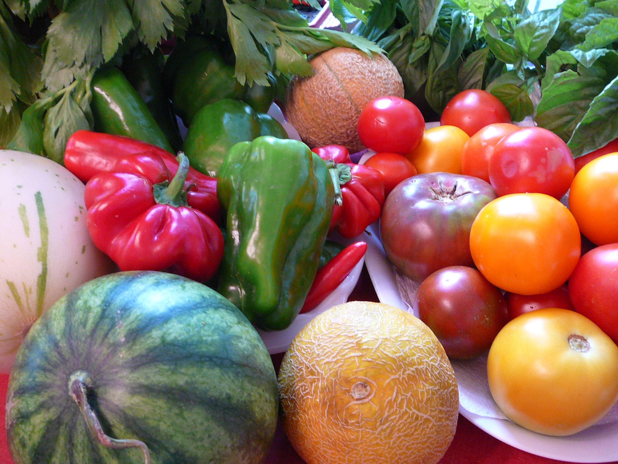 Photo of a variety of Michigan summer fruits and vegetables. Image credit: flickr.com user jpwbee