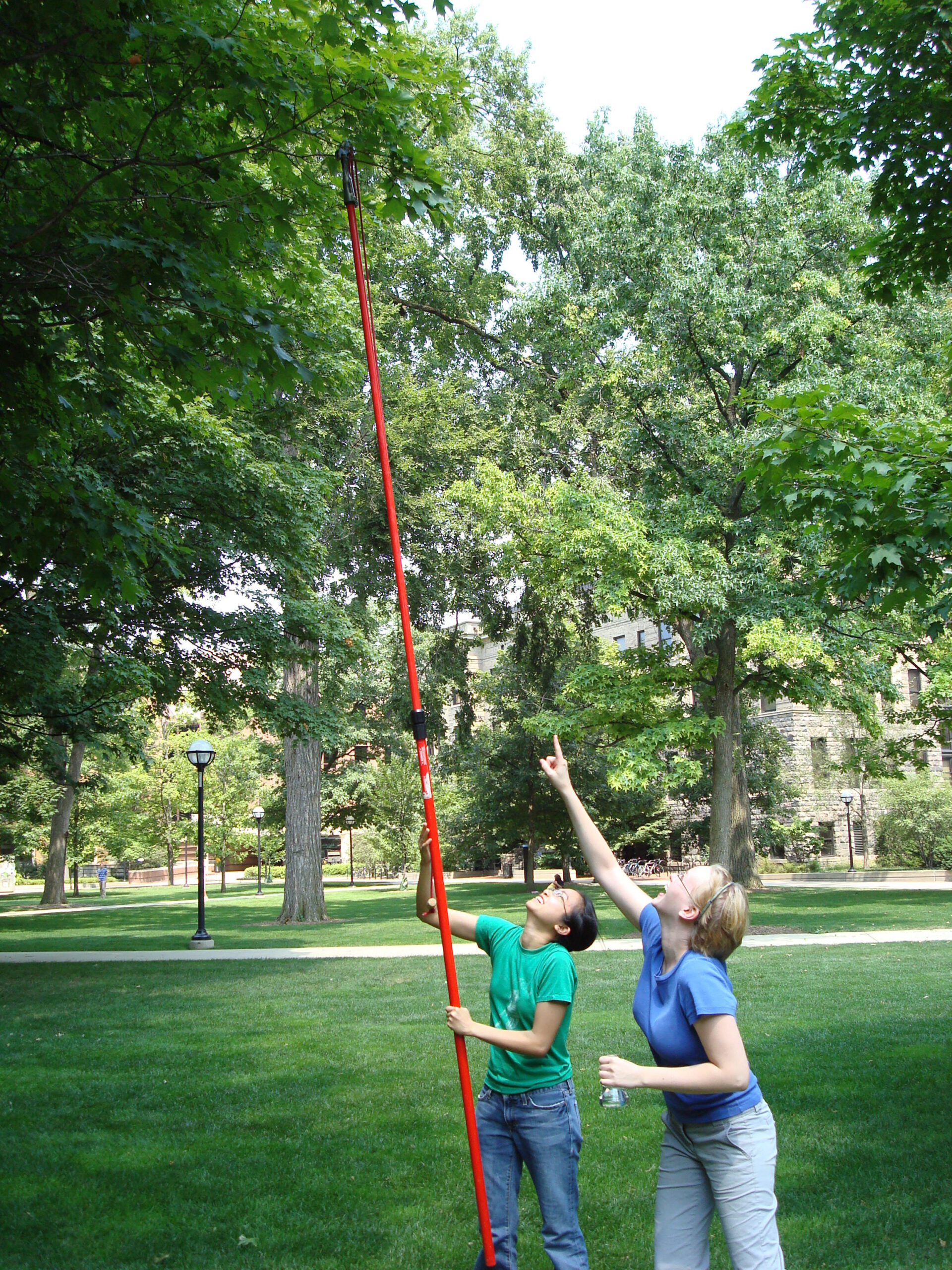 University of Michigan student research assistants Grace Lee (left) and Cara Mozola cut sugar maple leaves on the Diag as part of a study of leaf protein quality and gypsy moth caterpillars. Photo courtesy of U-M Undergraduate Research Opportunity Program.