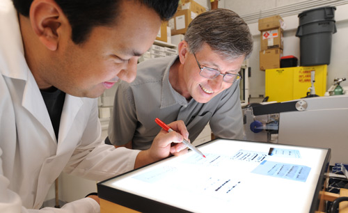 Kinesiology Professor Greg Cartee and a colleague theorize that exercise benefits lean and obese people differently. Image credit: School of Kinesiology