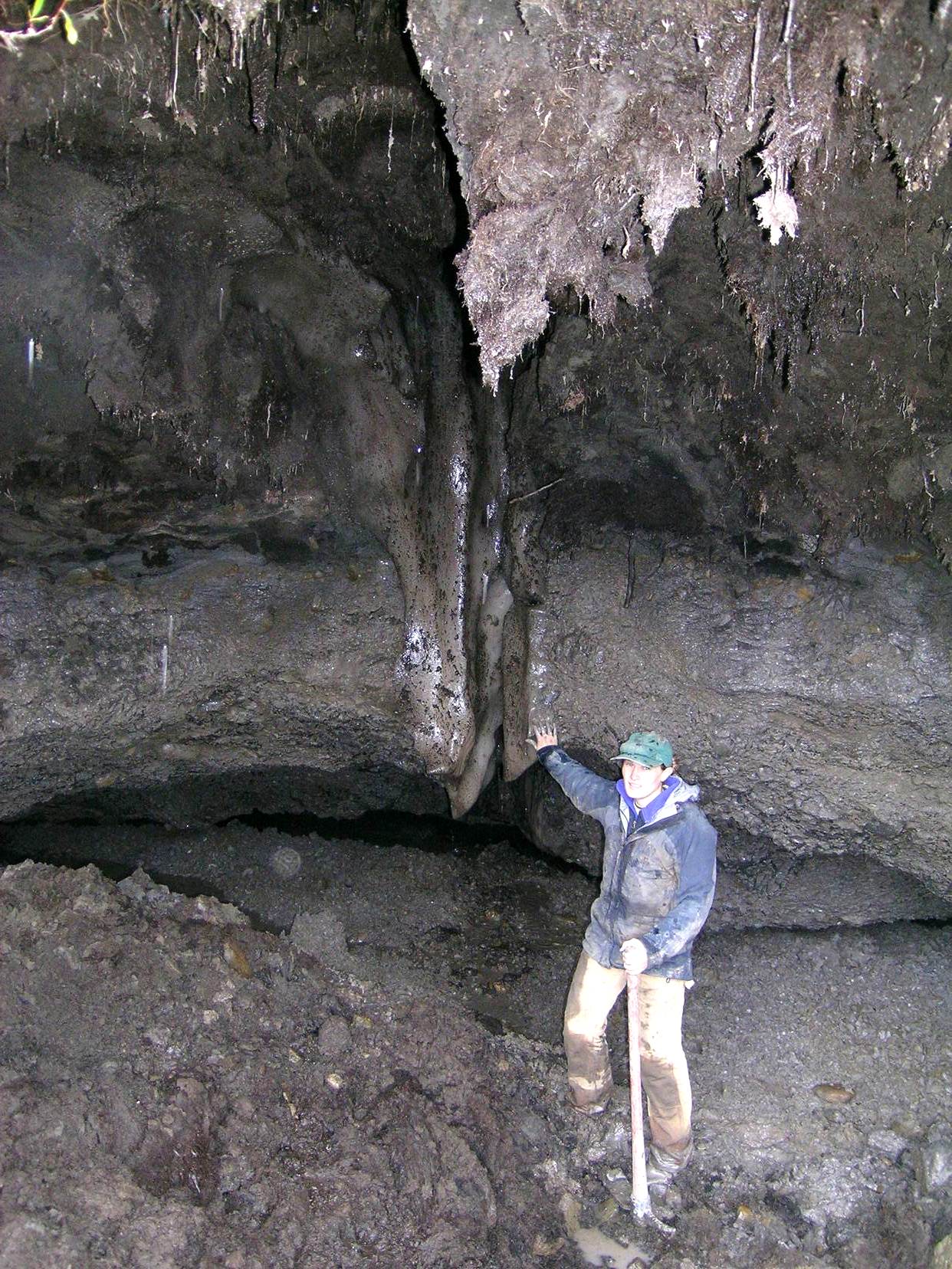 Former University of Michigan graduate student Katy Keller with a hand on eroded and melting permafrost near Toolik Lake, Alaska. The gully erosion seen here is a type of thermokarst failure, formed when ice-rich, permanently frozen soils are warmed and thawed. Image credit: George Kling