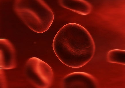 Illustration of streaming red bloodcells. (stock image)