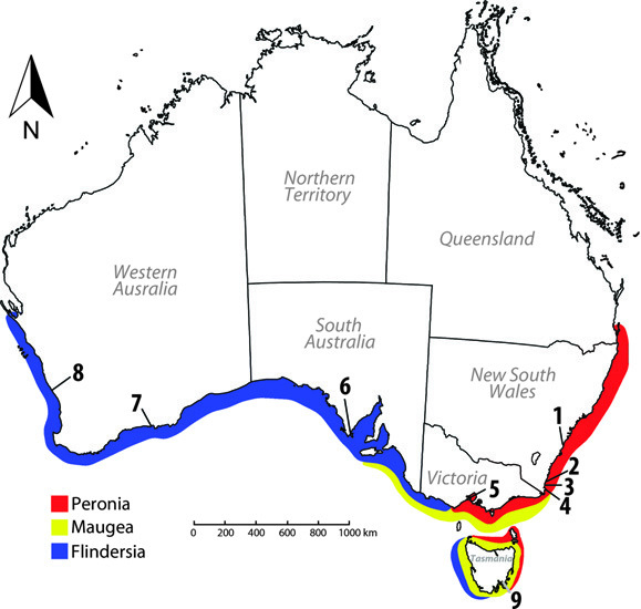 Map of Australia showing the three biogeographic provinces and sampling sites included in the U-M clam study. Map by Jingchun Li.