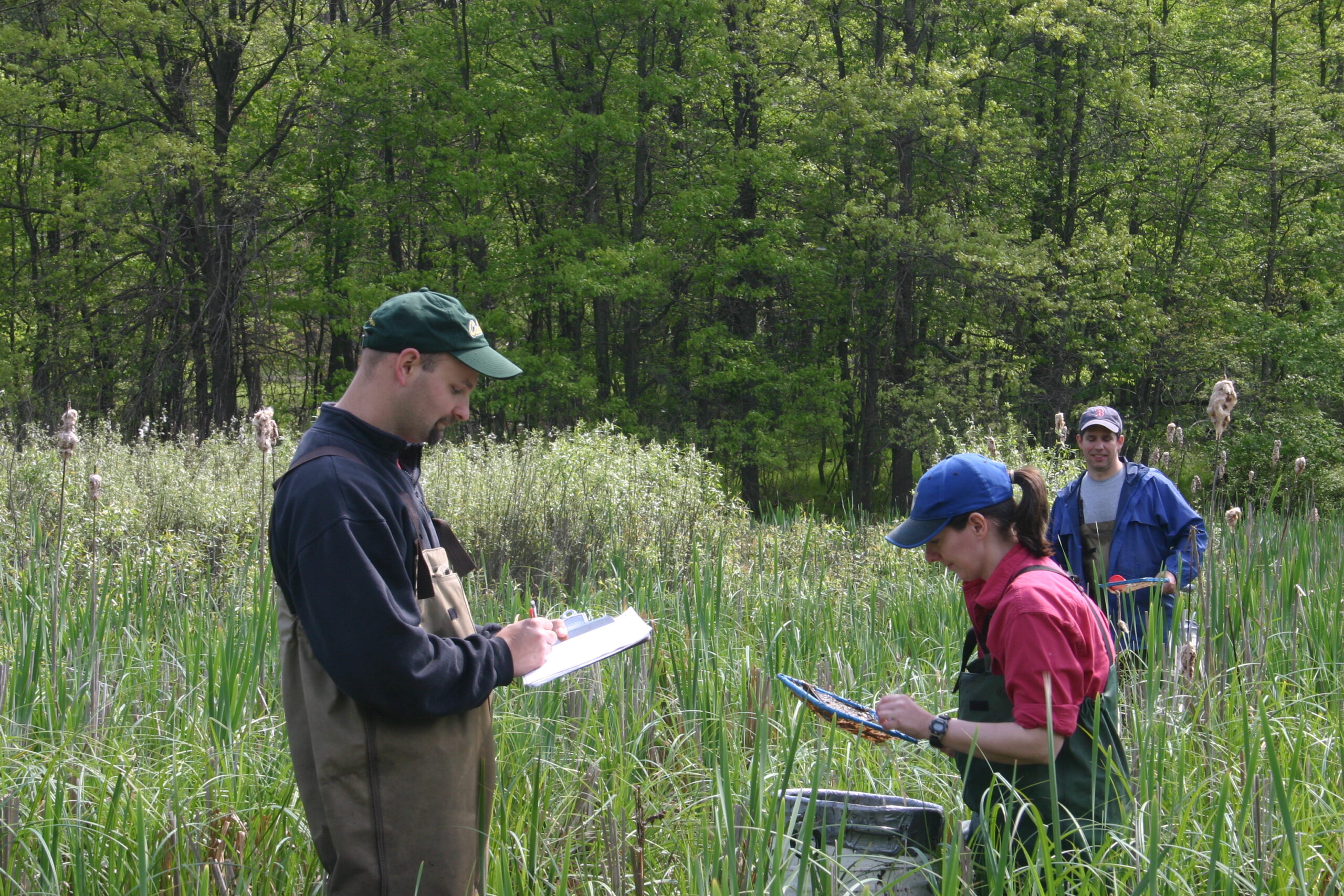 Field crews collecting tadpoles at U-M's E.S. George Reserve in Pinckney, Mich. Image credit: Michael Benard
