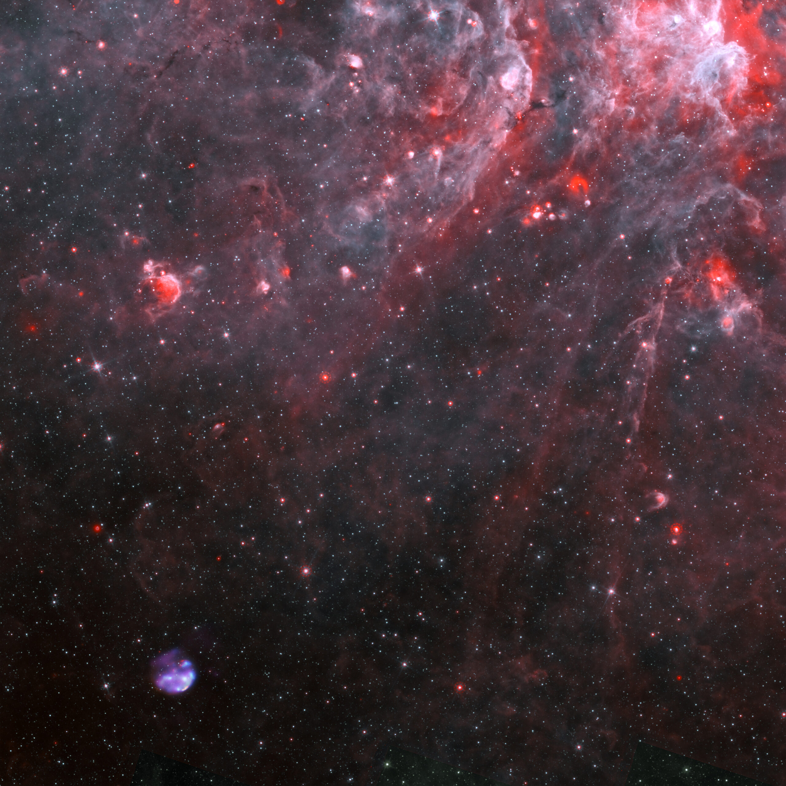 A wide view of a young supernova remnant in context with a star-forming region in the constellation Centaurus. The pink cloud of dust and gas is about 13,000 light years away, whereas the supernova remnant, in the lower left, is twice as far. Credit: X-ray: NASA/CXC/Univ. of Michigan/M. Reynolds et al; Infrared: NASA/JPL-Caltech; Radio: CSIRO/ATNF/ATCA