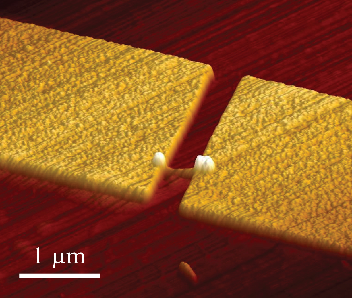 An atomic force microscope image of a nanowire single photon emitter. Courtesy of Pallab Bhattacharya