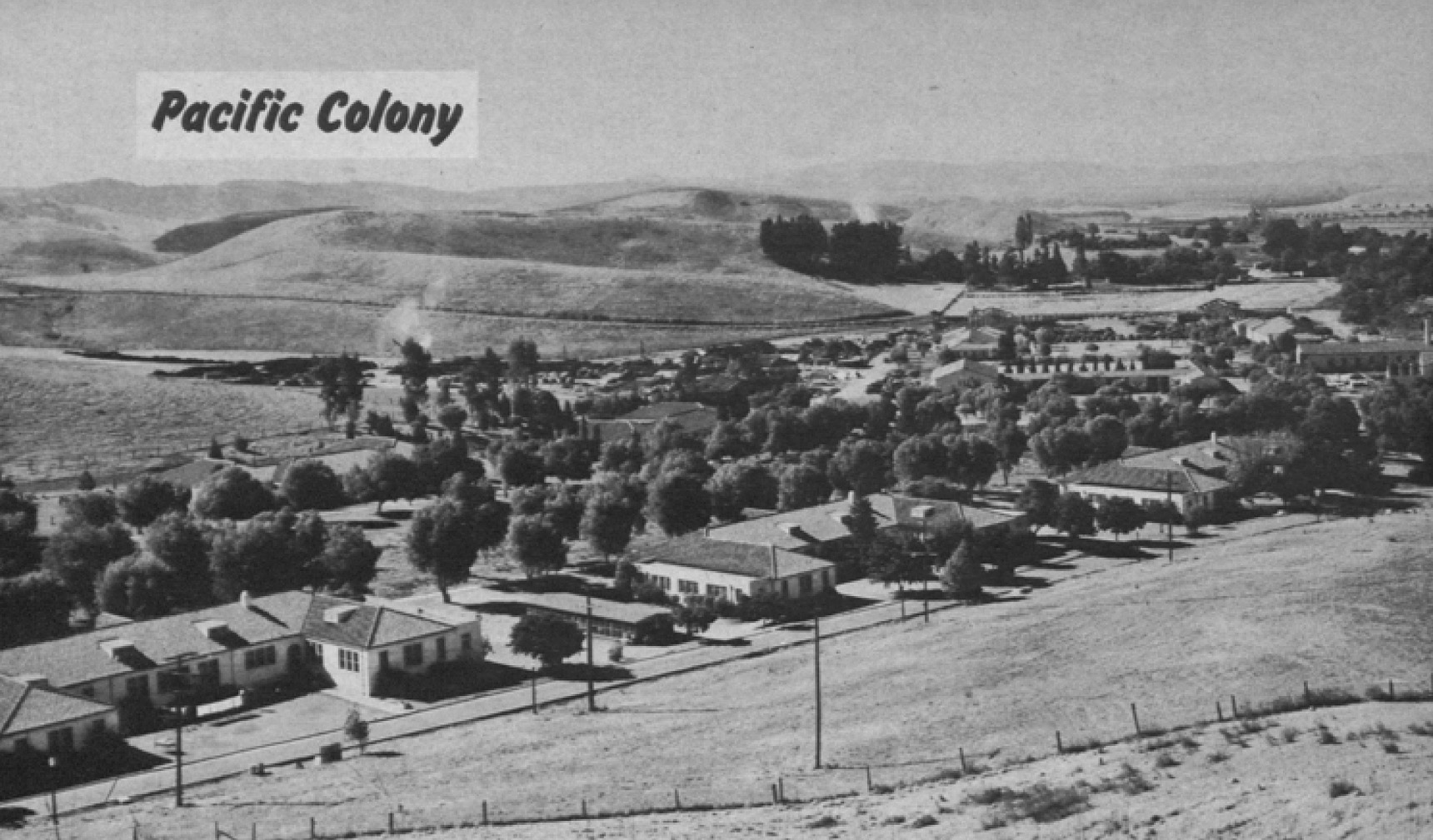 Pacific Colony, located at Spadra, California. Image published in the Biennial Report for 1950-1952 by State of California Department of Mental Hygiene and provided by Alex Wellerstein.
