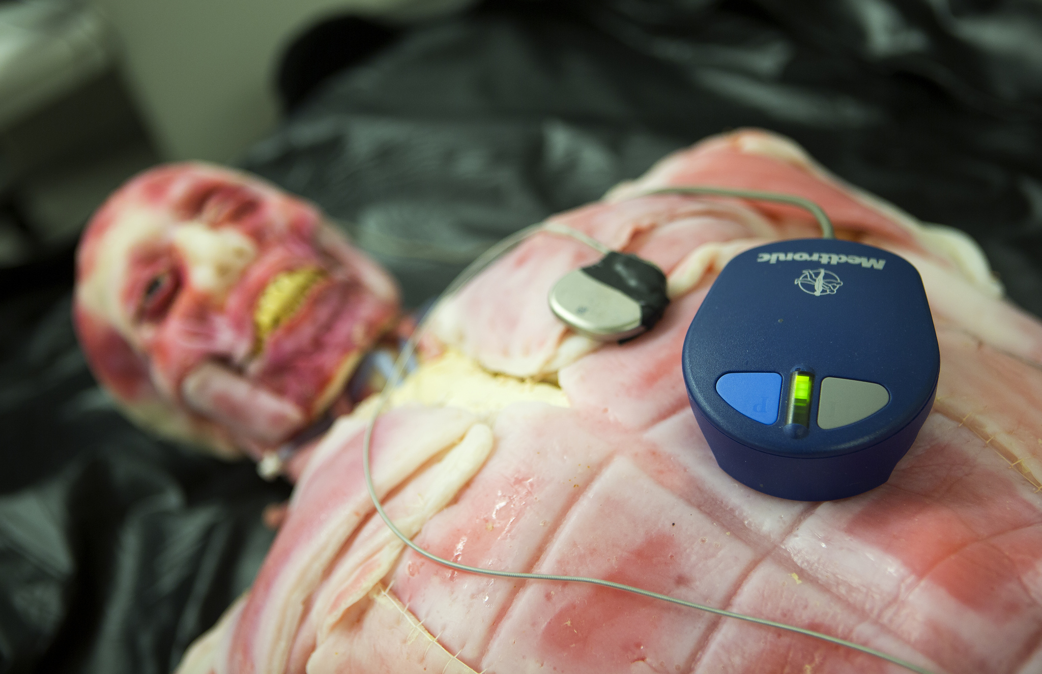 An artificial cadaver that is used by the Security and Privacy Research (SPQR) Lab headed by EECS Professor Kevin Fu. Researchers in SPQR use the artificial cadaver to test the security and privacy of various medical devices, including heart rate sensors, pacemakers, defibrillators, drug delivery systems, and neurostimulators. Photo: Joseph Xu, Michigan Engineering Communications & Marketing